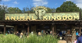 Ultimate Disney World Trip! - Animal Kingdom