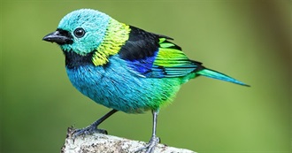 50 Things You Should Be Grateful For