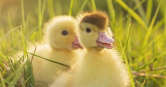 Foods That Duck Queen Would NOT Eat