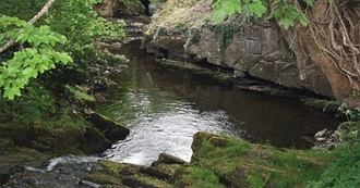 Help We Broke the Videotape