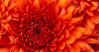 Books That I've Read in 2025 (Mostly Manga/Graphic Novels)