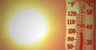 Fun Movies for Hot, Sunny Days