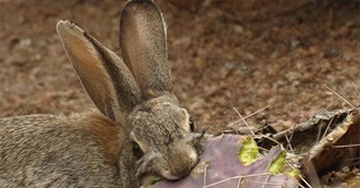 Autumns Favorite Books