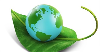 Amazing Travel Experiences