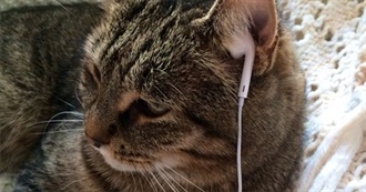 Ez&#39;s Albums of Ever