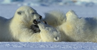 Awesome Nature Documentaries