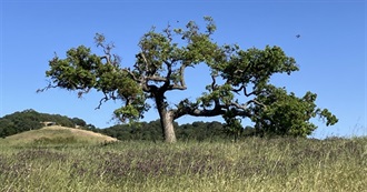 Bailey's Lifetime Reading Challenge!!!