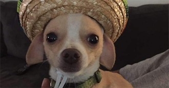 Books Expected to Be Five Stars