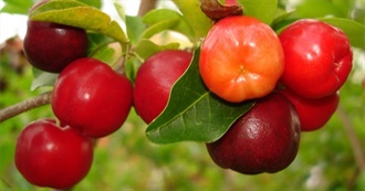 How Many Fruits Have You Tried?