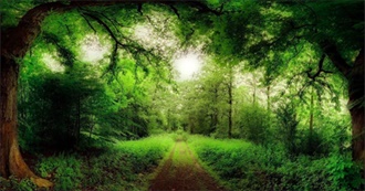 Books With Magical Forests