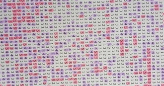 Books KB Has Rated 5 Stars From 1/1/2012 to 12/08/2024