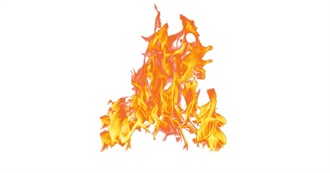 Bee&#39;s Top 50 Movies (Subjective)