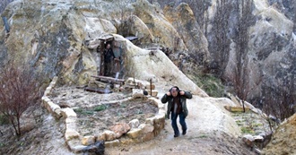 Only Actual Cinephiles Will Have Seen More Than a Couple of These Films