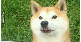 A Random Movies List