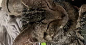 Seth&#39;s Favorite Movies