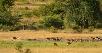 Travel for Wildlife (2020)