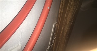 Movie Kai  Want to Watch