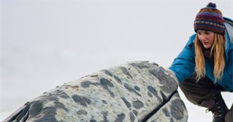 52 Movies That Left Out the Real Horrific Ending (Watchmojo)