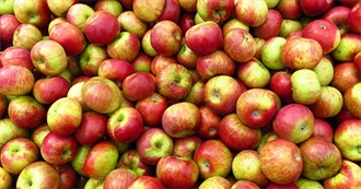 What Ray Ate - Day 261