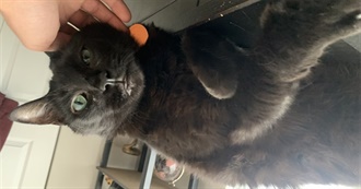 Jacklyn&#39;s Top 62 Movies