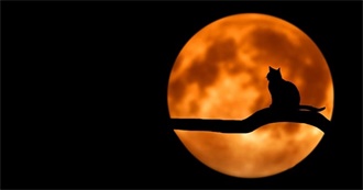 Ladycalico&#39;s More Meanderings Through the Macabre