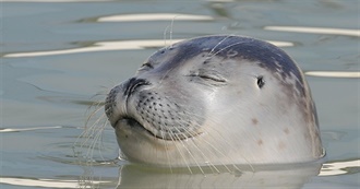 Chrys&#39;s 100 Favorite Movies