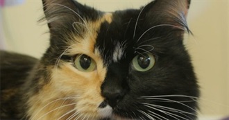 Oxymoron - Movies, TV Shows, and Plays