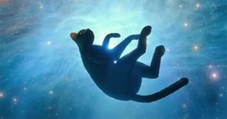 Squonk Watched 20 Movies #78