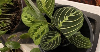 100 Books That Made Me