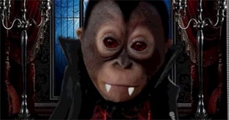 Donnys Incomplete List of Every Best Movie