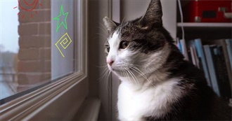 Rosie&#39;s Movies From the 2020s VIII