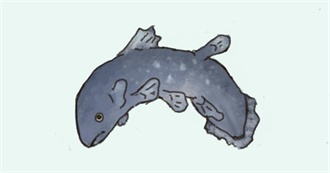 Ash Is Doing This Now