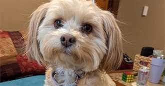 Chris&#39; Top 100 Movies