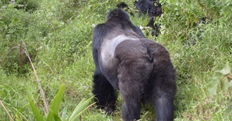 Top 50 Most Exciting Places Laci Visited