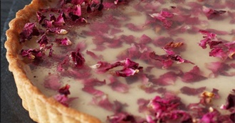 February 2025&#39;S Best New Foods for Duck Queen