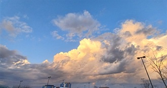 What-The-Dickens&#39; Favorite Bookshelf