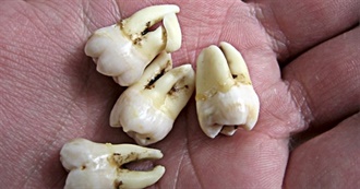 Medical Conditions You&#39;ve Had