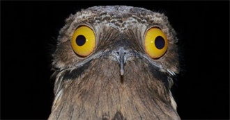 Ella&#39;s Rando Selection