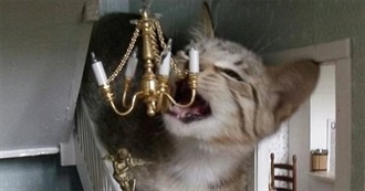 Chai&#39;s 100 Favorite Movies