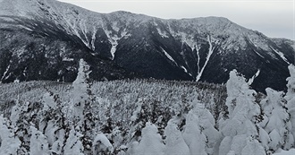 Yoss&#39; Favorite Horror 2015-2024