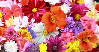 To Do Before Turning 20