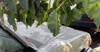 Daniels Top 100 Movies (2025)