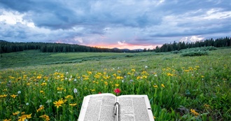 July Pandemic Reading