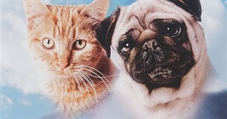 Rosie&#39;s Movies From the &#39;80s XXXIV