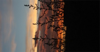 Best Books I&#39;ve Read From 2017 to 2025 Part 2