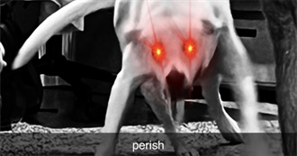 100 of IMDb&#39;s Most Popular Movies That Zach&#39;s Actually Seen