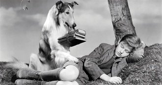 100 Movies About Dogs