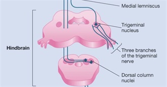 PHYSICAL TBR - Lilyreadsbooks
