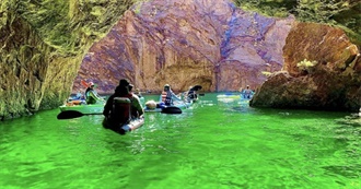 Water Lovers Delight