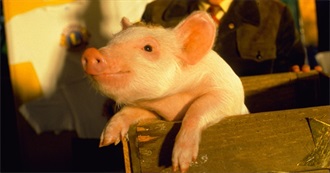 Moviepaws Greatest Animal Movies